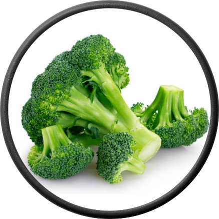 Fresh Broccoli